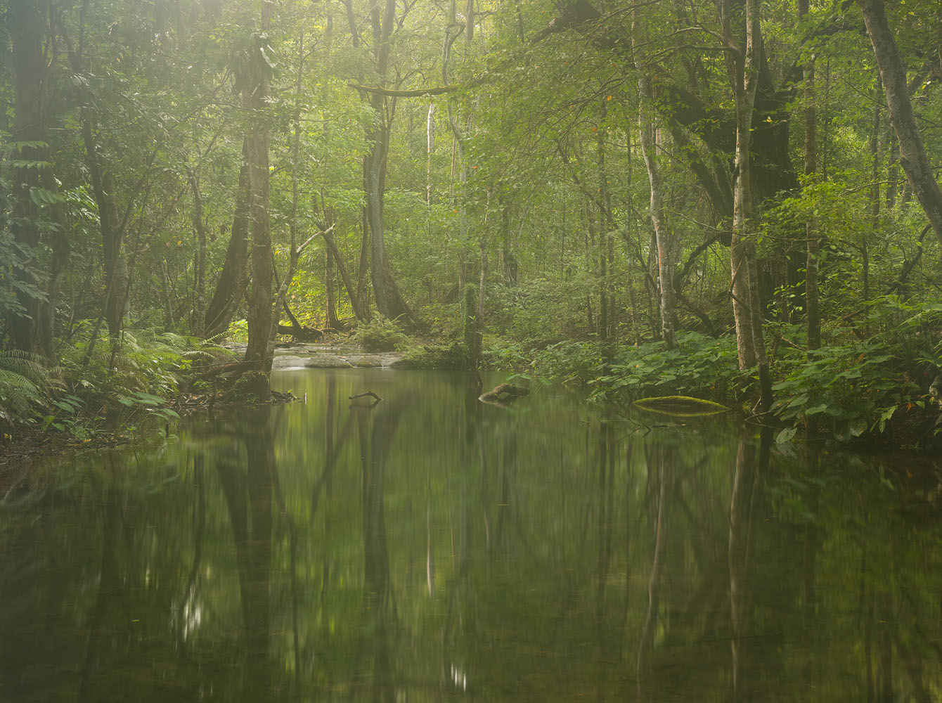 Canon 5D4, Tamron 24-70mm f/2.8 at 52mm  f/8, 15 sec, ISO100